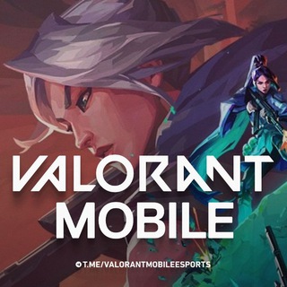 VALORANT MOBILE ESPORTS | VINFO