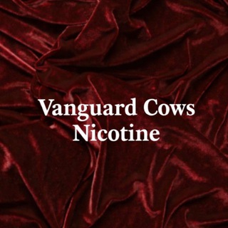 𝐕𝐚𝐧𝐠𝐮𝐚𝐫𝐝 𝐂𝐨𝐰𝐬 𝐍𝐢𝐜𝐨𝐭𝐢𝐧𝐞❤️‍🩹