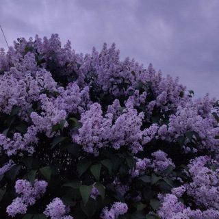 Напоминания.