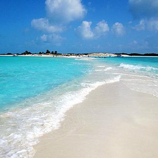 Венесуэла 🇻🇪🌴