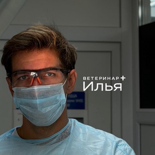 Ветеринар Илья