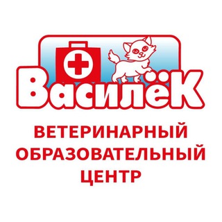 ВАСИЛЁК | Ветшкола