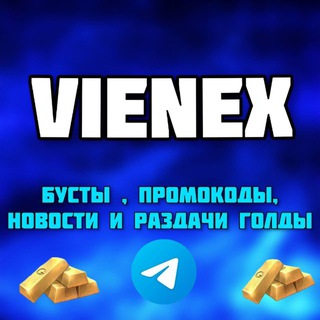 VienEx 👾