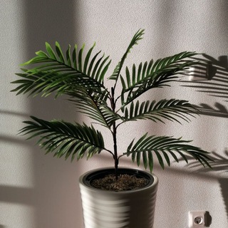 Стабилизированные и искусственные цветы для декора "VikkiArs HOME"