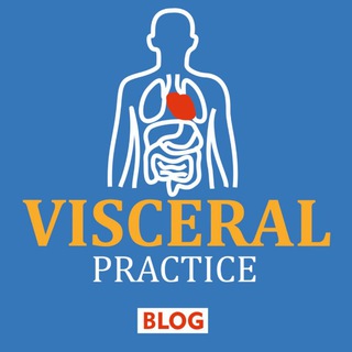 Висцеральная практика