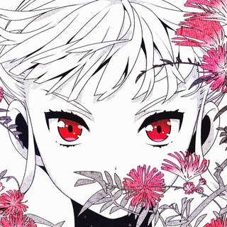 Визуальные новеллы