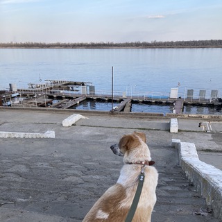 Волгоградия