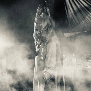 Школа магии «Волхида»