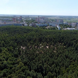 Лесопарк Волкуша | г.о. Лыткарино 🌳