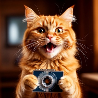 ВсёОКино | Кино Сериалы Анонсы Фильмы #Всёокино #Vseokino #Всеокино #Фильмы