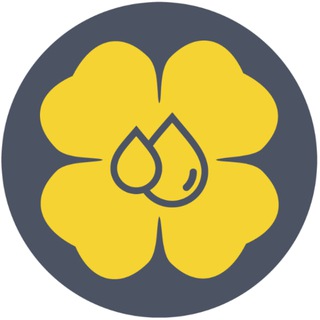 Всё для рапса