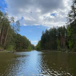 #ВзглядПчелаVoda