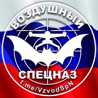 ВОЗДУШНЫЙ СПЕЦНАЗ 🇷🇺