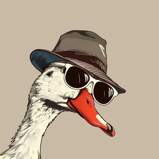 Что за гусь | AVE