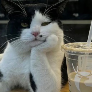 Территория свободы