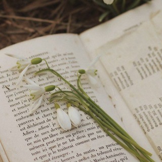 ~𝓦𝓪𝓷𝓷𝓪 𝔀𝓻𝓲𝓽𝓮 𝓪 𝓼𝓽𝓸𝓻𝔂 ~