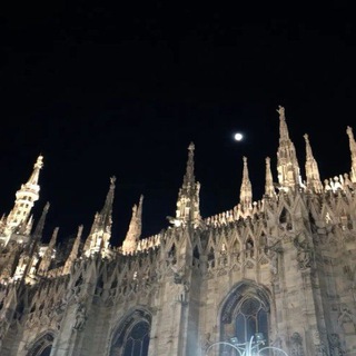 WellTorn | Заработок на отзывах