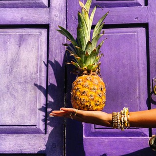 Wellness zhurnal ©️