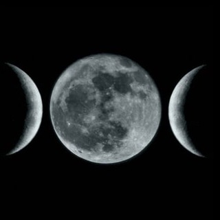 ЗАМОРОЖЕНО (ЧИТАТЬ ЗАКРЕП)