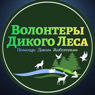 Волонтёры🦔«Дикого Леса»🐇