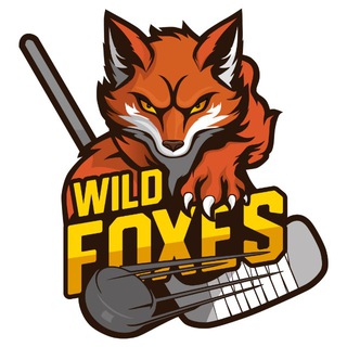 Дикие лисы || Команда по развитию хоккея