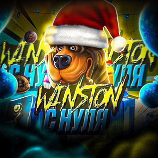 Влог winston с 0