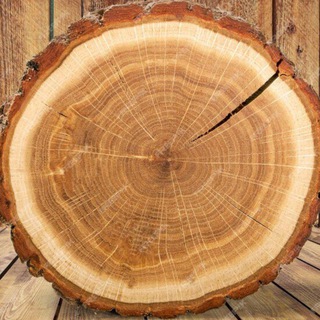 DD Деревянный дизайн📜Резьба по дереву под заказ🪵