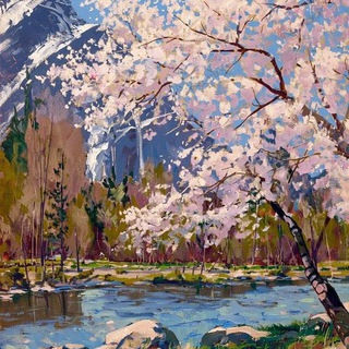 𝓦𝓸𝓸𝓭𝔀𝓪𝓵𝓴𝓮𝓻𝓣𝓻𝓪𝓷𝓼𝓵𝓪𝓽𝓮