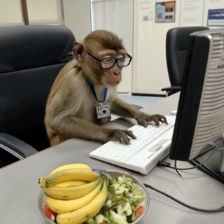 WFE | Работа для Всех | Удаленная работа | Работа из дома | Work for everyone