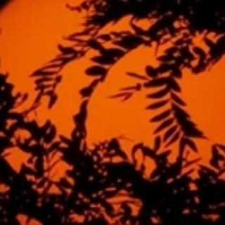 Workholm | Заработок на отзывах