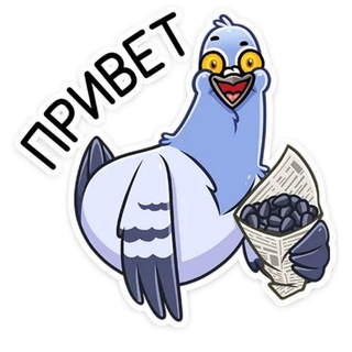 Прикольные открытки