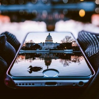 Ставки| Путь к миллиону ебучих долларов ебать нахуй