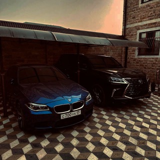 ︎ ⁠⁠⁠️𝙓-𝟬𝟳𝟳🐊