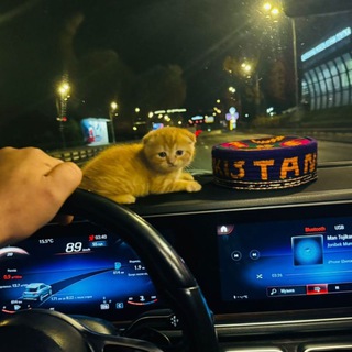 ⚜️꯭❘꯭꯭꯭꯭꯭ 𝐒𝄄⵿𔖄⵿𝐇𝄄⵿𔖄⵿𝐄𝄄⵿𔖄⵿𝐘𝄄⵿𔖄⵿𝐗𝄄⵿𔖄⵿ ❘꯭꯭꯭꯭꯭⚜️❘꯭꯭꯭✥꯭⏤‌꯭🧸