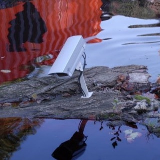 Наблюдатель