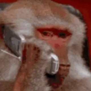 Фисташковый Лён