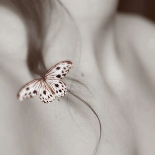 Янковская эстетика 🌺1️⃣8️⃣➕