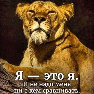 Шахматы и не только с YarTop