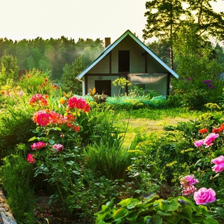 УДачное местечко