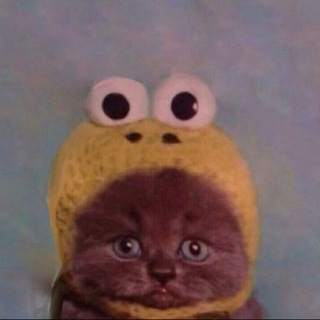 Анкеты и прочее