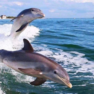 Крым 🌊 ЮБК🌴