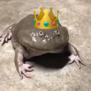 Тетрадь по всём | Юля Шумакова