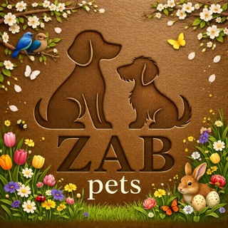 Собаки съели наш блог