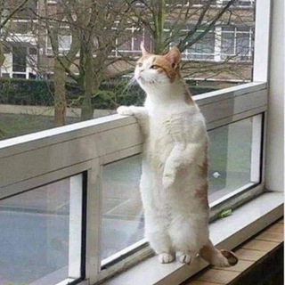 Бизнес-мышление • Анна Зезюля