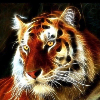 Тигр Просто Верит