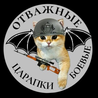 СВОи шевроны