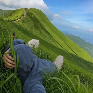 #Задоджилиаборт