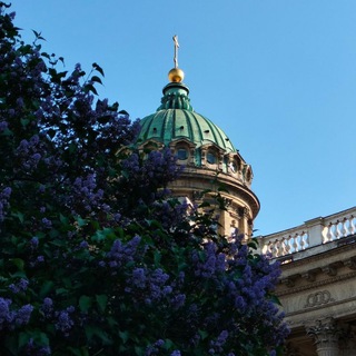 Запах классики🌿📚