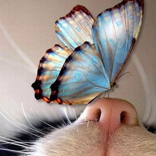 "Прихожане"