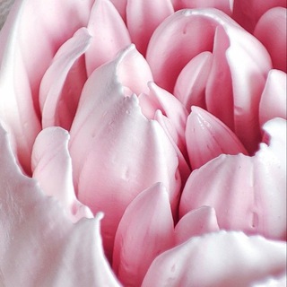 Zefirchik 38 | Сладкая мастерская Иркутск Хомутово | Зефирчик 38